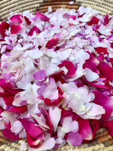 BRILLO DIARIO | aceite facial de flor de saúco y rosa